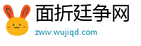 面折廷争网